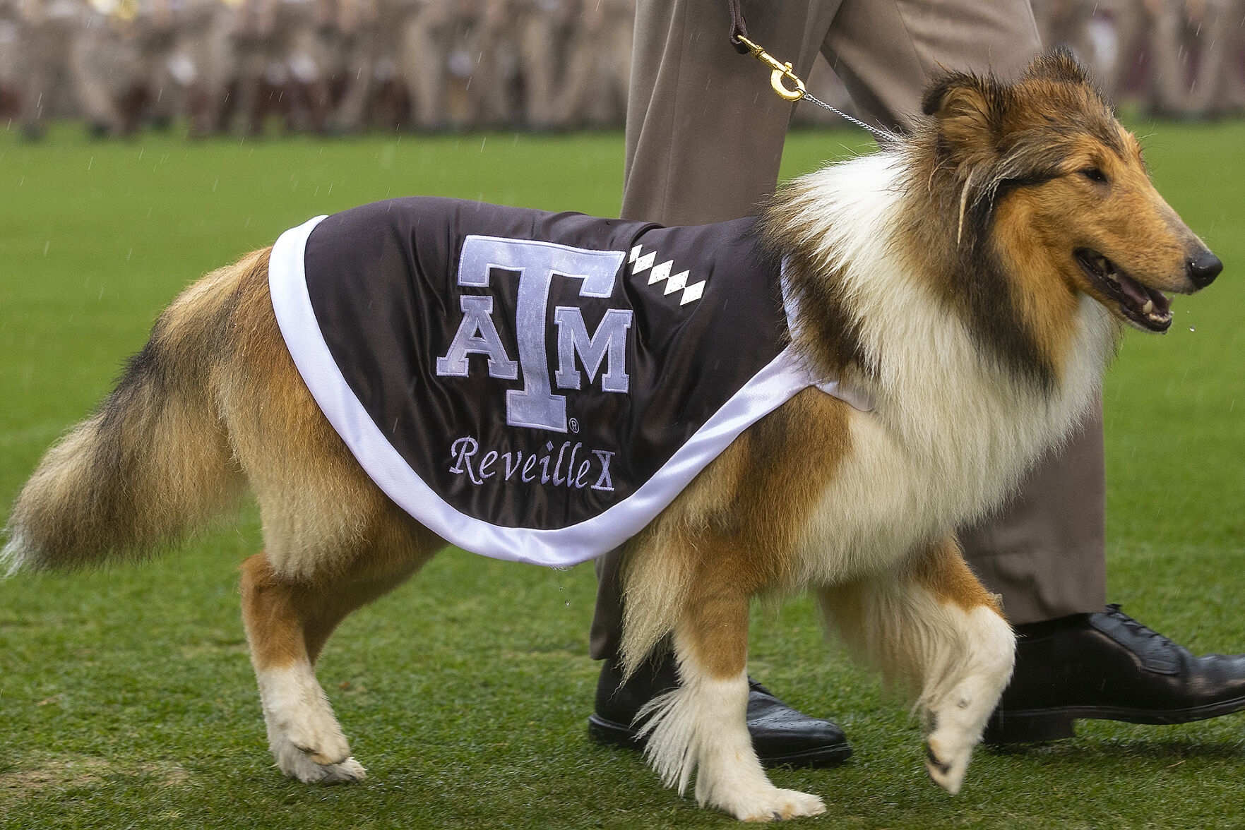 Reveille X